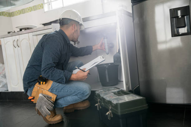 Best Affordable Plumbing Services  in Delshire, OH